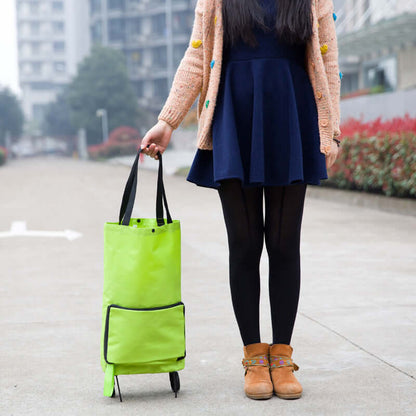Eco-Friendly Shopping Bag with Retractable Wheels